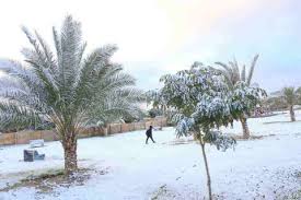 اتجاه الرياح شمالية غربية إلى متقلبة الاتجاه. ØµØ­ÙŠÙØ© Ø§Ù„Ø¨ÙŠØ§Ù† Ø§Ù„Ø¥Ù…Ø§Ø±Ø§Øª ØªØ³Ø¬Ù„ Ø¯Ø±Ø¬Ø© Ø­Ø±Ø§Ø±Ø© ØªØ­Øª Ø§Ù„ØµÙØ± ÙˆÙ…Ø±ÙƒØ² Ø§Ù„Ø£Ø±ØµØ§Ø¯ ÙŠÙØ³Ø± Ø§Ù„Ø³Ø¨Ø¨ Ø±Ø£ÙŠ Ø§Ù„ÙŠÙˆÙ…