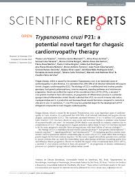 É apenas com a constituição estadual de 1935 que o termo passa a ser governador, 132 sendo assim a maneira como se designam os governantes de são paulo até hoje. Pdf Trypanosoma Cruzi P21 A Potential Novel Target For Chagasic Cardiomyopathy Therapy
