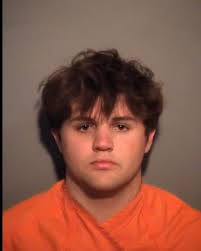 CONLEY, GAVIN DAVID- MALICIOUS INJURY TO TREE, HOUSE; TRESPASS UPON REAL  PROPERTY