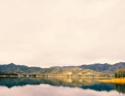 1190 royalty free pond images | Peakpx