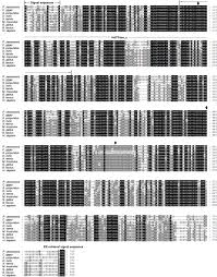 Sebab sudah banyak sekali orang orang yang menggunakan kode kode tersebut terutama di sosial media atau lain sebagainya. The Grp94 Gene Of Yesso Scallop Patinopecten Yessoensis Characterization And Expression Regulation In Response To Thermal And Bacterial Stresses Sciencedirect