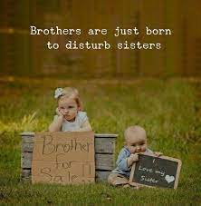 Brothers Are Just Born To Disturb Sisters Siblings Funny Quotes Sister Quotes Funny Best Brother Quotes