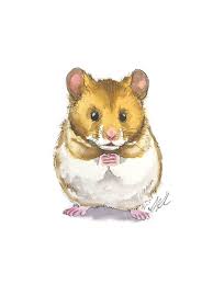 Print Of Watercolor Painting Teddy Bear Hamster Nursery Art Decor Children S Cute Animals Ask A Question By Cute Animal Drawings Bear Hamster Hamster Cartoon