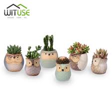 Wituse Yaratici Saksi Zakka Baykus Sekli Cicek Saksilari Bonsai Et Bitki Bahce Saksilar Ev Ofis Icin Dekoratif Bahce Tencere Modaeffect Org