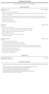 Gis Analyst Resume Sample Mintresume
