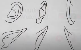Maybe you would like to learn more about one of these? How To Draw Anime Ears Step By Step