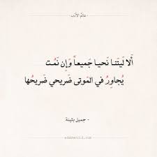 شعر جميل بثينة لقد ذرفت عيني وطال سفوحها عالم الأدب Arabic Calligraphy