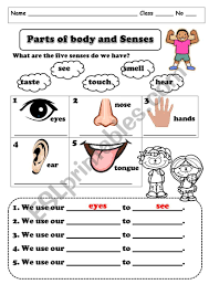 Engaging esl parts of the body games, activities and worksheets to help your students learn and practice body parts vocabulary and language. Parts Of Body And Senses Esl Worksheet By Monkeymemild
