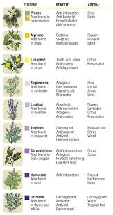 Common Essential Oil Terpene Quick Reference Chart