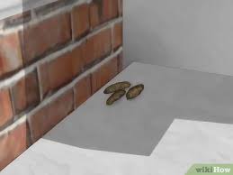 Check spelling or type a new query. 3 Ways To Get Rid Of Mice Naturally Wikihow