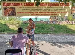 Новини рівного 19.07.2021 насувається негода: Skazhena Kishka Vidpravila Na Karantin Cilij Rajon U Rivnomu Misto Novini Rivnogo Ta Oblasti Rivne Vechirnye