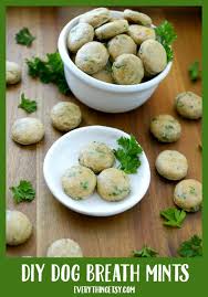 Pour in one cup of water and blend until smooth. Homemade Dog Treats Breath Mint Recipe Everythingetsy Com