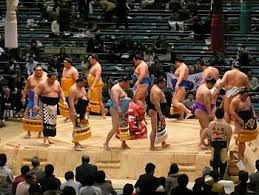 Professional Sumo Divisions Wikipedia
