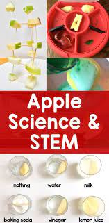 Red apple reading shares 10 great kinesthetic literacy activities for parents to do with their little ones today! Apple Science Experiments Stem Activities Lessons For Little Ones By Tina O Block
