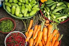 Start your own mini vegetable garden
