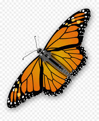 999x825 butterfly silhouette vector art illustration (.ai) vector file. Purple Butterfly Silhouette Png Butterfly Clipart Transparent Background Png Download Vhv