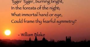Tyger Tyger Burning Bright In The Forests Of The Night What Immortal Hand Or Eye Could Frame Short Poems About Love Short Poems About Life Poems About Life