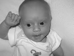 Program in Judaic studies