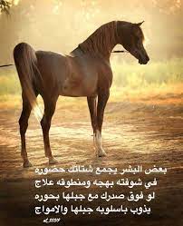 شعر نبطي قصيد ابيات قوافي عشق قافية غزل مدح كلمات خواطر بو ح horses horse breeds arabian horse