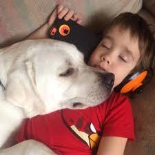 Dr. Janet Flowers Institute