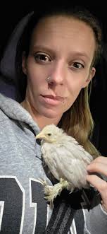 Chicken recovery from illness