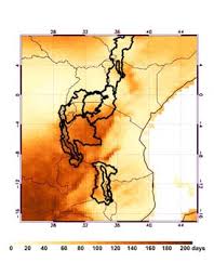 Image result for Rubus kirungensis