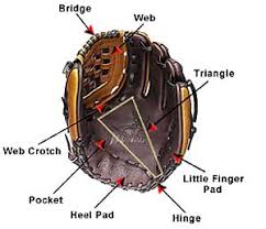How do you determine the baseball glove size? Apponaug Babe Ruth Baseball League Abrbl Powered Bybaberuth