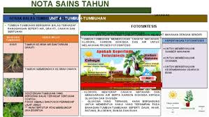 Tumbuhan bergerak balas kepada cahaya, air, graviti dan sentuhan. Nota Sains Tahun 4 Unit 4