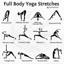 Yoga Daily Posture On Instagram Full Body Yoga Stretches Perfect For A Quick Morning Str Yoga Stretches Full Body Stretching Routine After Workout Stretches
