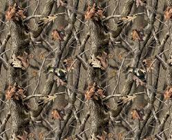 Follow the vibe and change your wallpaper every day! 38 Realtree Camo Wallpaper Hd On Wallpapersafari