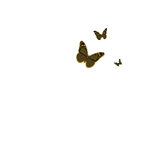 Mariposas png, butterfly animated gif png, png download. Fan Illusion 3 Script Gimp Learn