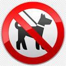 Bildergebnis für keine Tiere Logo