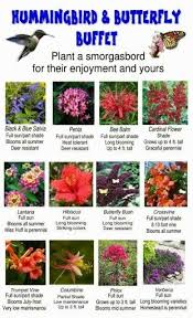 Plants And Flowers That Attract Hummingbirds And Butterflies More About Attracting Hummers Here Http Www T Butterfly Garden Design Plants Hummingbird Garden