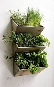 Para ello, coloca una parte de la. Flores Y Plantas Para Decorar La Cocina Decoracion De Interiores Y Exteriores Estiloydeco