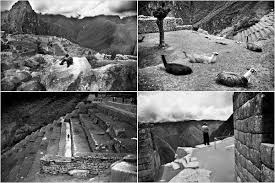 Machu picchu bed and breakfast. Debate Rages In Peru Was A Lost City Ever Lost The New York Times