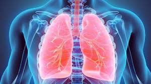 Lung cancer usually has no symptoms in its early stages. How Quickly Does Lung Cancer Develop