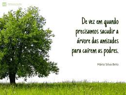 Pin Em Mensagens Diversas