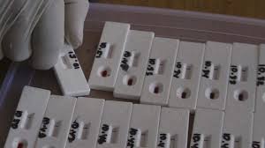 Check spelling or type a new query. 3 Rw Di Tanah Abang Zona Merah Corona Lima Warga Diisolasi