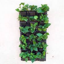 We researched the best indoor garden systems to make the most of your space. Buy Oxygen Enriching Indoor Vertical Garden Online From Nurserylive At Lowest Price