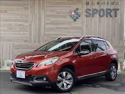 Image result for Rouge Lips 2014 Peugeot