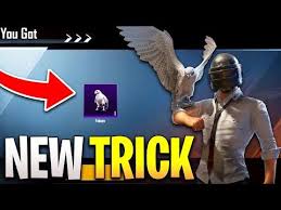 Here are some of the tips and tricks to get your own falcon. How To Unlock Falcon Companion In Pubg Mobile Get Free Companion In Pubg Mobile 2020 Youtube Unlock New Tricks Companion