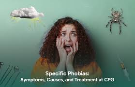 Image result for Specific Phobia