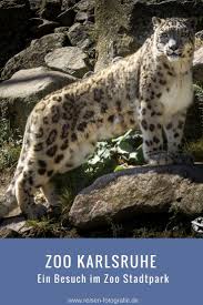 Unsere Foto Highlights Aus Dem Zoo Karlsruhe Zoo Karlsruhe Freizeitpark