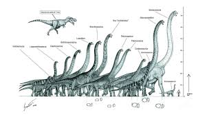 largest animals through the ages prehistoric animals