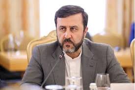 غریب‌آبادی: همکاری کشورهای ساحلی خزر برای حفاظت از آن ضروری است