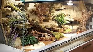 Came Across This Tank Set Up In A Leopard Gecko Group Don T Know Who Made It But I Think It S Gorgeous Gecko Habitat Gecko Terrarium Gecko Vivarium