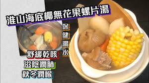 淮山海底椰無花果螺片湯舒緩乾咳秋冬潤喉 youtube food make it yourself vegetables