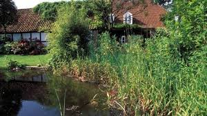 Check spelling or type a new query. Gartenteich Optisches Garten Highlight Und Biotop Zugleich