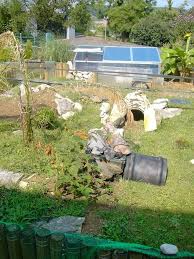 Das Gehege Freigehege Fur Griechische Landschildkroten Landschildkroeten De Landschildkroten Freigehege Griechische Landschildkrote