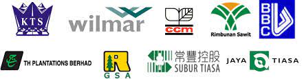 We feel it is game changing product launches. Kts Group Of Companies Sarawak Shakers